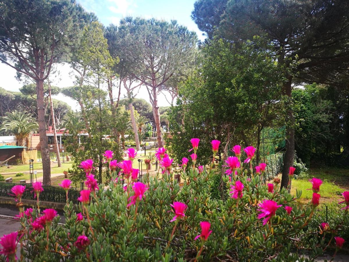 Casa Margherita Affittacamere B&B フォッローニカ エクステリア 写真